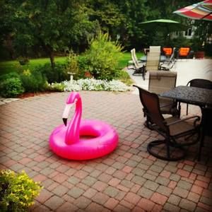 Meet your Posher, Jenifer